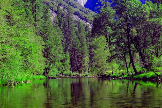 Foto carta da parati della natura, bella carta da parati della natura, sfondi della natura 4k, carta da parati della natura hd, natura verde