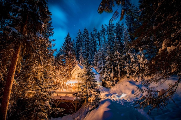 Foto carta da parati della natura, bella carta da parati della natura, sfondi della natura 4k, carta da parati della natura hd, natura verde