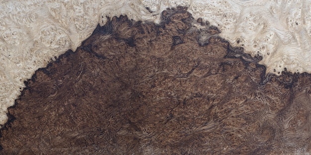 Photo nature walnut burl wood striped texture background