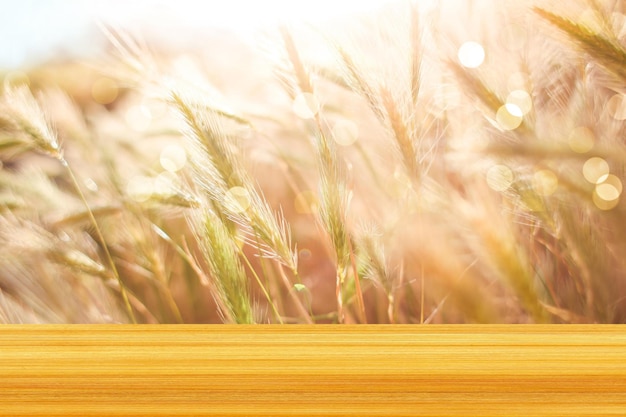 Nature wooden design with bokeh effect and wheat