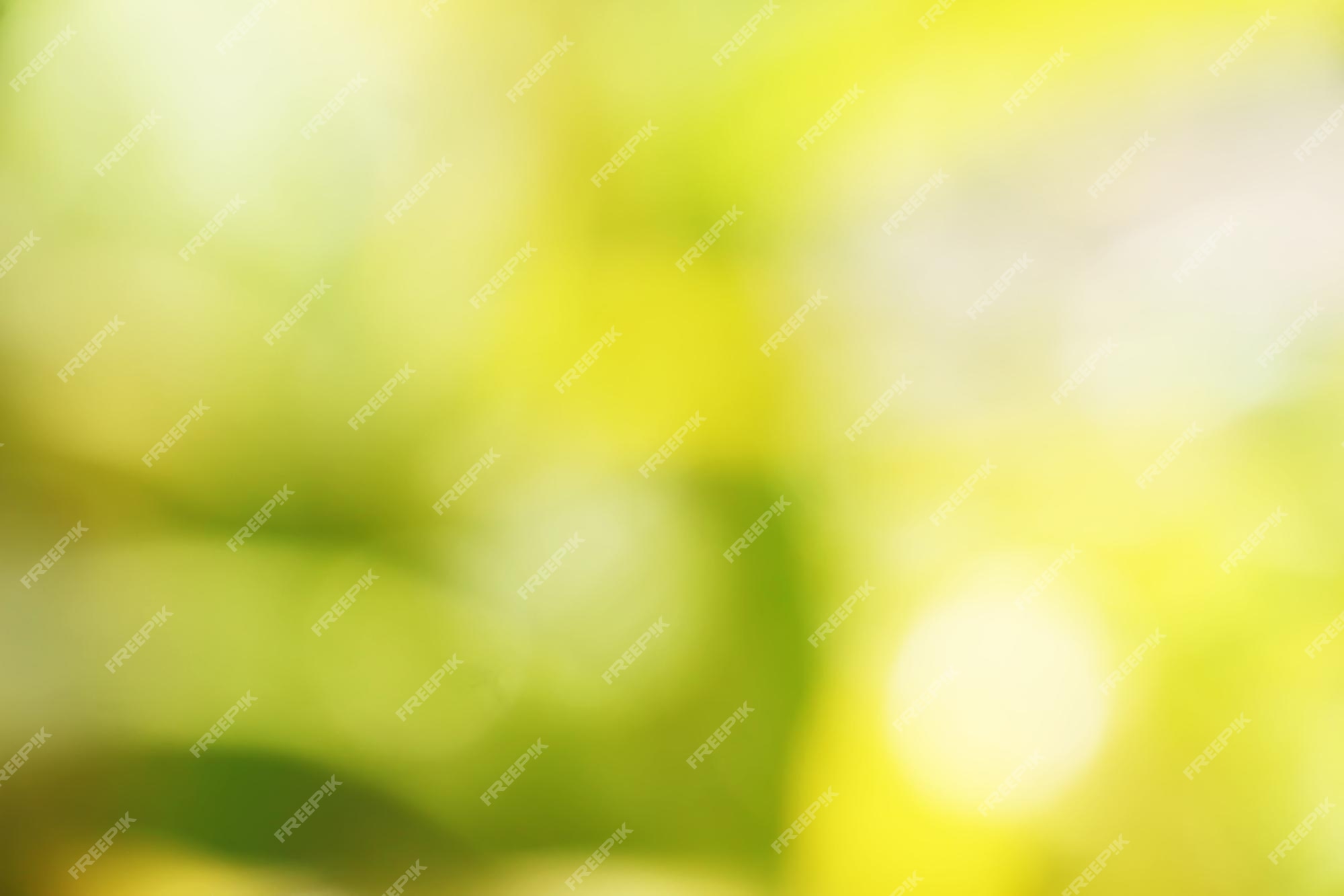 Premium Photo | Nature yellow and green blur background for wallpaper and  cover design