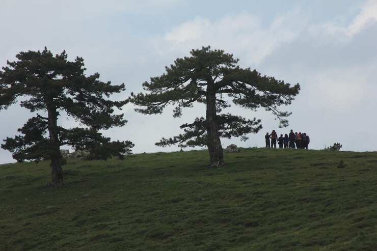 Photo 자연
