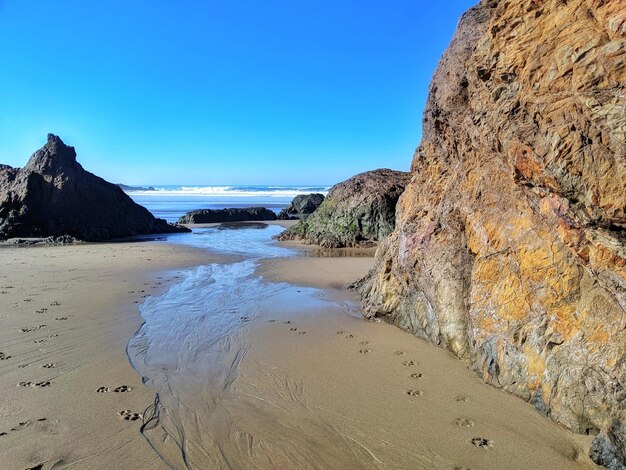 Natures colors against the blue ocean