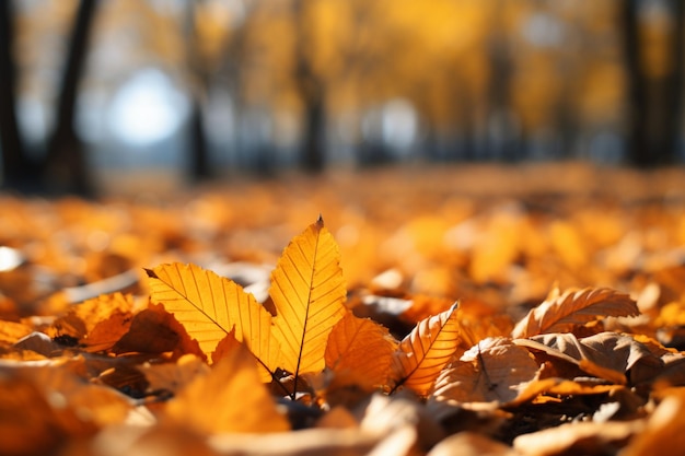 Natures palette golden autumn leaves blurred fall landscape serene pastels