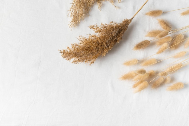 Foto natuur achtergrond met droge bloem en gras plat lag op witte achtergrond