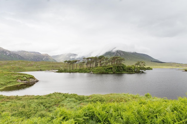 natuur- en landschapsconcept - uitzicht op eiland in meer of rivier in de vallei van ierland