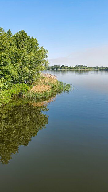 Natuur en lege rivier. weerspiegeling van bomen in het water. ruimte kopiëren.