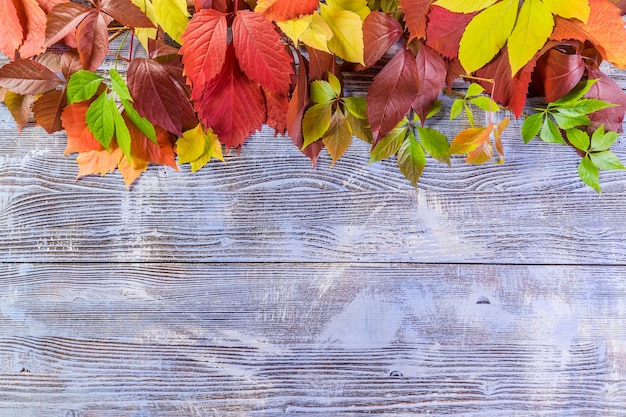 Foto natuur herfst achtergrond met bladeren op rustieke tafel. bovenaanzicht