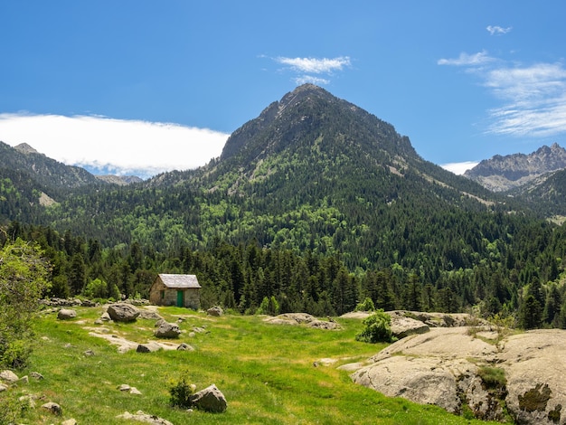 Natuur in aiguestortes nationaal park in pyreneeën catalonië spanje