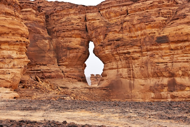 Natuur in de woestijn dichtbij al ula saudi-arabië