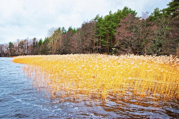 Natuur in etnografisch openluchtdorp Riga, Letland, Baltisch land