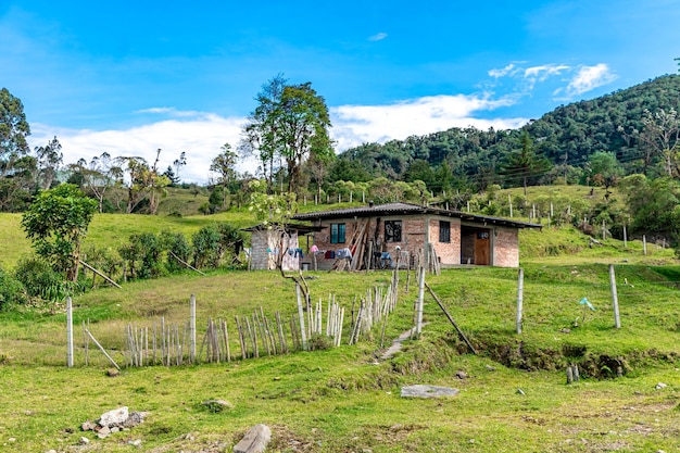 Natuur in het berglandschap van Colombia