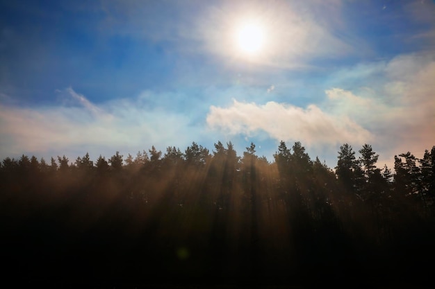 Natuur in het herfstseizoen op een mistige ochtend