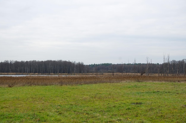 natuur in het herfstseizoen