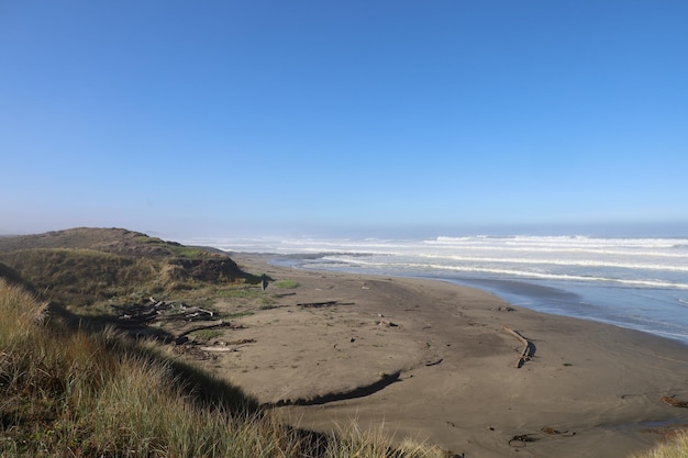 Natuur in Mendocino-parken in Californië