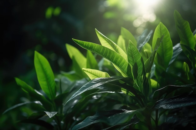 Natuur laat groene tropische bos achtergrond fotorealistische cinematische verlichting Generatieve AI