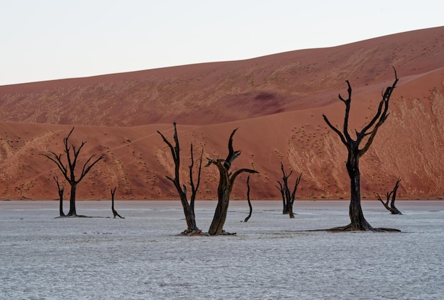 Natuur Landschap Landschap Natuurlijke reisbestemming Mooie woestijnhemel