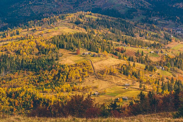 natuur landschap van herfst bos en bergen