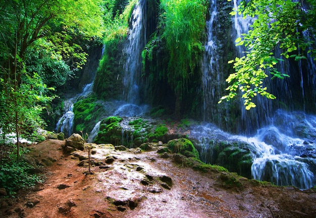 Natuur landschappen aandelen 7