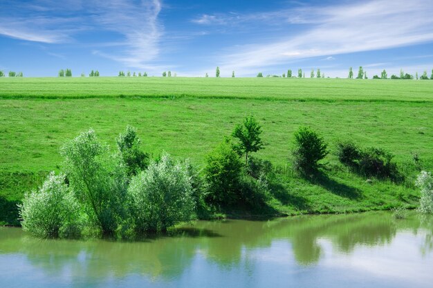 Natuur met blauwe rivier en bergen in de zomer