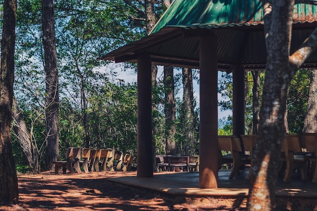 Natuur naaldhout mix loofbos park open uitzicht achtergrond Gazebo gevel groen dak luifel stenen banken Regen beschermen Zomer zon dag bomen schaduw hemel Reizen vrede levensstijl vrije tijd achtertuin