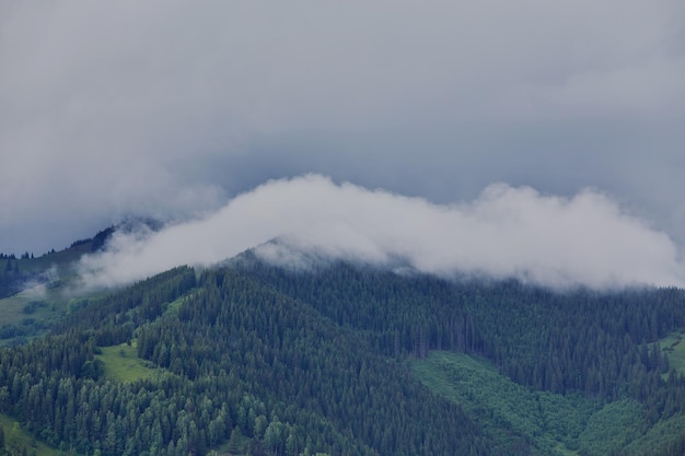 Natuur panorama groen bos berg mist wolk reizen