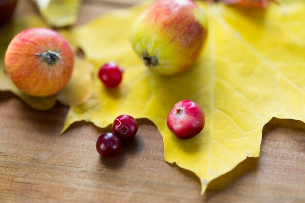 natuur, seizoen, herfst en plantkunde concept - close-up van herfstbladeren, fruit en bessen op houten tafel