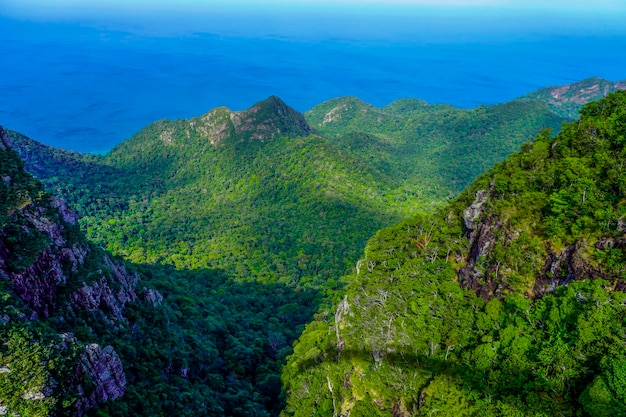 Natuur van het eiland Langkawi in Maleisië Bergen en jungle