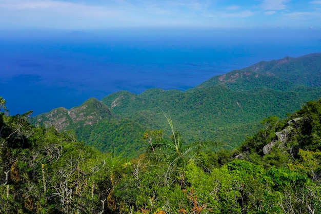 Natuur van het eiland Langkawi in Maleisië Bergen en jungle