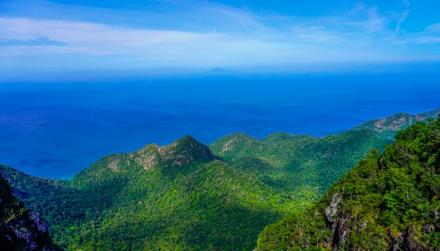 Natuur van het eiland Langkawi in Maleisië Bergen en jungle