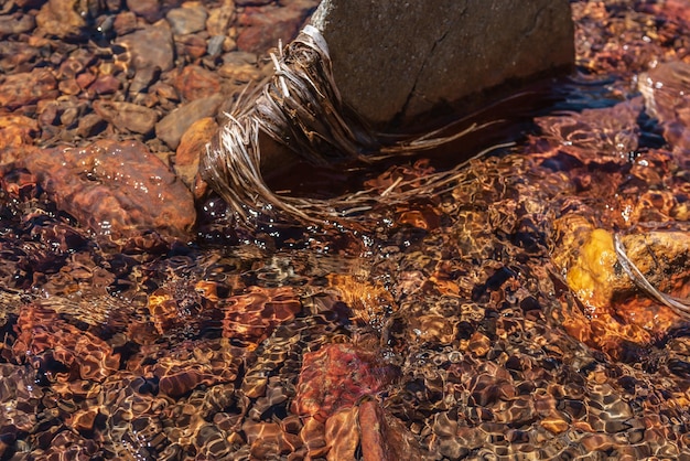 Natuurachtergrond van heldere waterstroom met bonte steenachtige bodem in zonlicht kleurrijke bergstroomtextuur met mineraalwater in felle zon patroon van zonovergoten veelkleurige stenen in bronwater