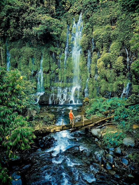 Natuurbehang, prachtig natuurbehang, 4k natuurbehang, hd natuurbehang, groene natuur