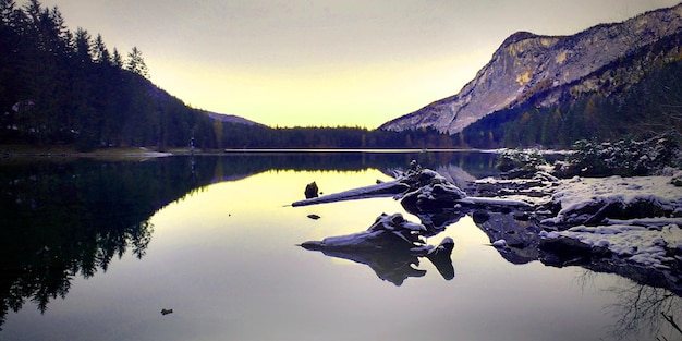 Foto natuurbehang, prachtig natuurbehang, 4k natuurbehang, hd natuurbehang, groene natuur