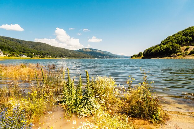 Natuurbergen rond het Mavrovo-meer in Noord-Macedonië