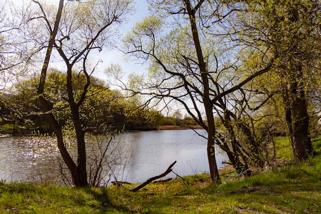 Natuurlandschap in het vroege voorjaar met bomen en water