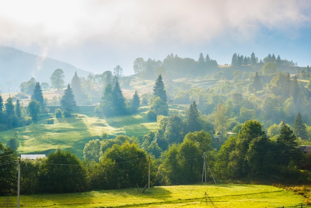 Natuurlandschap van groene heuvels