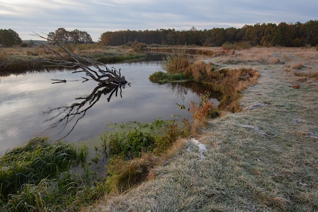 Natuurlandschap van ijzige novemberochtend op de rivieroever met rijm op gras en bomen and