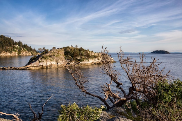 Natuurlandschapsfoto van Whytecliff Park Background