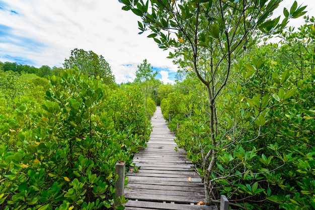 Natuurleerpad, gemaakt van hout