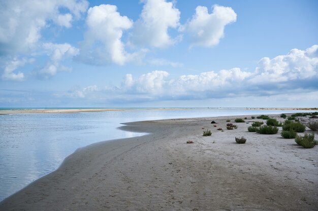 Natuurlijk en wild strand met licht bewolkte luchten