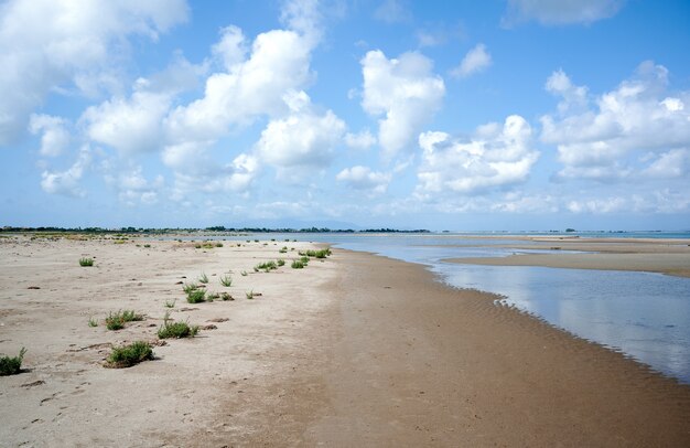 Natuurlijk en wild strand van de Ebro-delta, Spanje