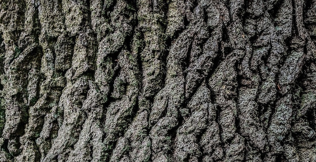 natuurlijk getextureerd houten oppervlak