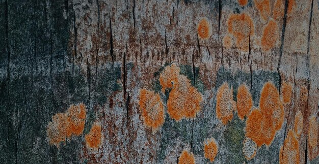 natuurlijk getextureerd houten oppervlak