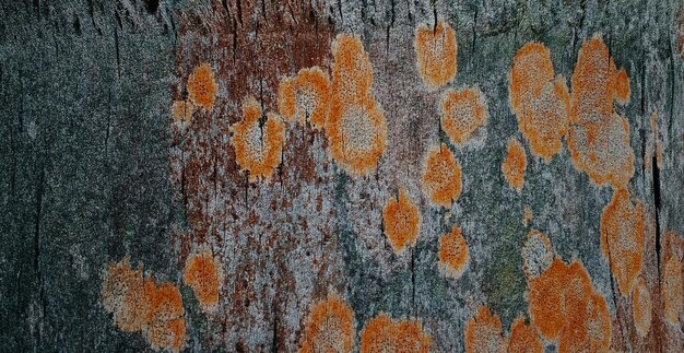 natuurlijk getextureerd houten oppervlak