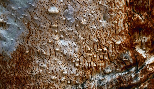 natuurlijk getextureerd houten oppervlak