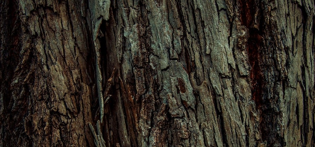 natuurlijk getextureerd houten oppervlak