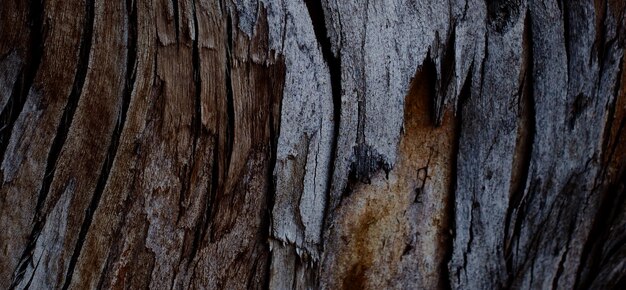 natuurlijk getextureerd houten oppervlak