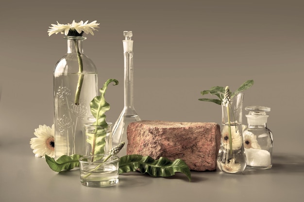 Natuurlijk groen laboratorium Baksteen podiumruimte voor product Abstract bloemstuk Reflecties van bladeren vervormd in water Exotische groene bladeren in transparante glazen flesjes potten Petrischalen