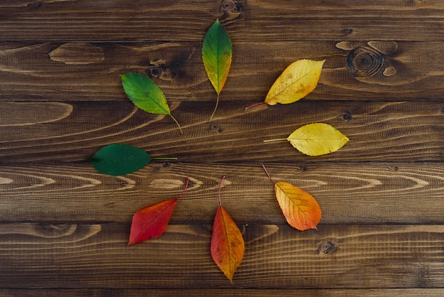 Natuurlijk horloge van de herfstbladeren. Klok concept. De herfst verlaat overgang van groen naar rood op houten achtergrond