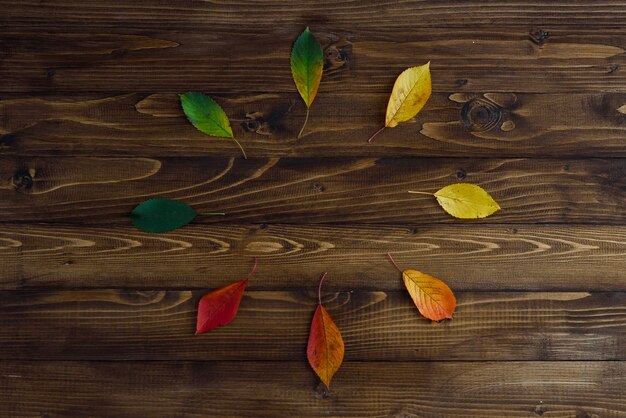 Natuurlijk horloge van de herfstbladeren. Klok concept. De herfst verlaat overgang van groen naar rood op houten achtergrond